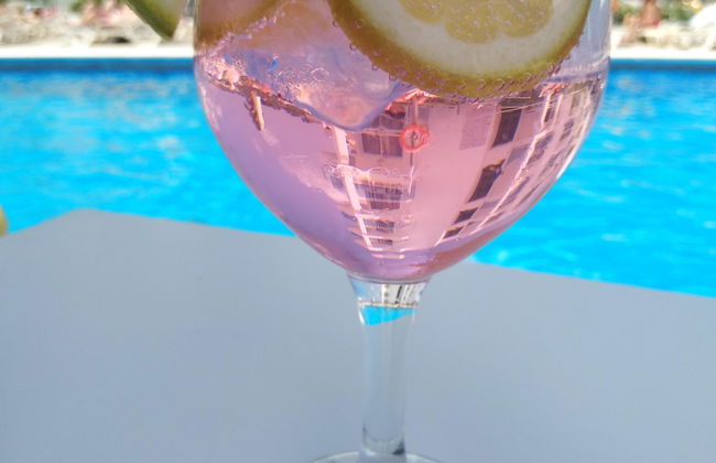 Aparthotel Nereida - Photo 29