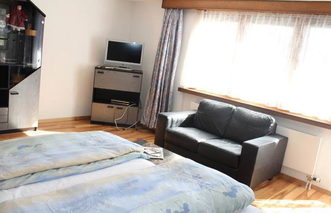 Silberdistel - Foto 12