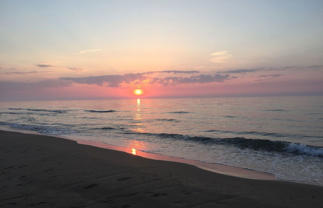 Viola Club Village - Photo 75