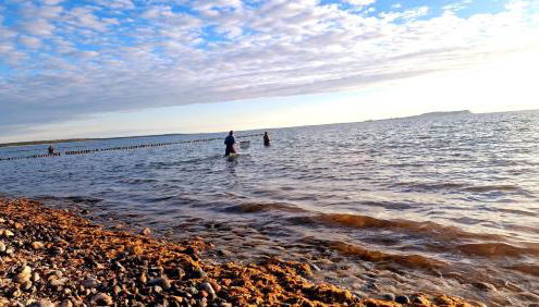 App 8u Rügener Heimatliebe - Foto 2