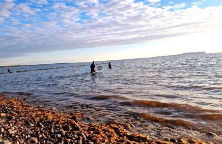 App 8u Rügener Heimatliebe - Photo 10