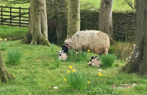 Bleasdale at Lantern and Larks - Foto 41