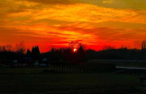 Na Skraju Lasu Domek na Drzewie & Glamping - Foto 73