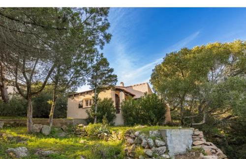 Villa Cala Rossa 45M2 4-5 pers Rondinara Bonifacio - Foto 9