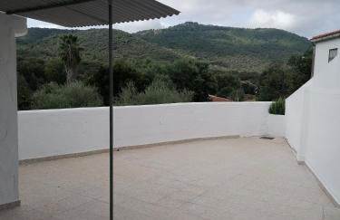 TIO TESORO - Foto 28