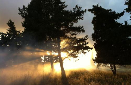 Le Petit Viala - Foto 33