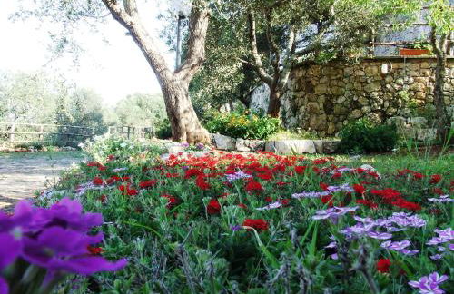 Residencefusaro pajare Specchia - Foto 10