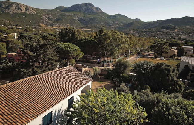 Les Mûriers - Photo 52