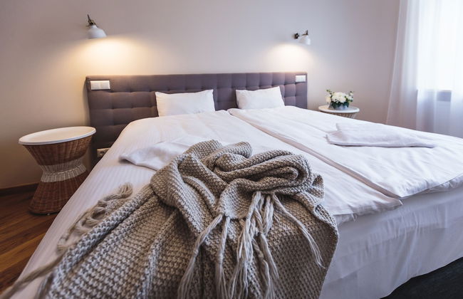 Riga Lux Apartments - Skolas - Photo 37