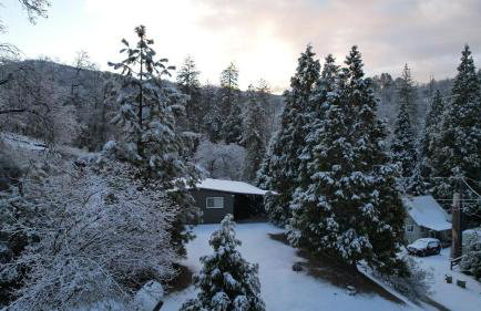 Peaceful Pines Place, a cozy mountain hideaway wAC - Foto 26