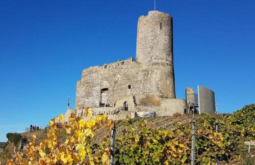 "moseltor" Comfortable Holiday Residence - Foto 69