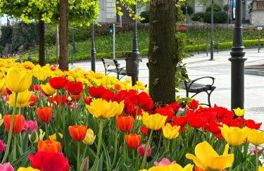 NOWE APARTAMENTY SZYNDZIELNIA 2 POKOJE & BALKON & PARKING & ROWEROWNIA WORKATION Home OFFICE - NAJLEPSZA BAZA WYPADOWA W BESKIDY - Foto 29