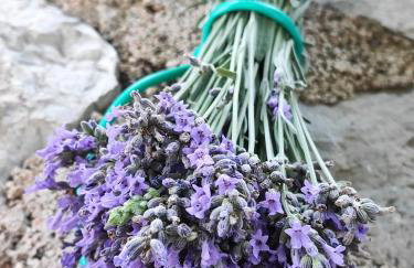 Acacia House - Cres Island - Foto 16