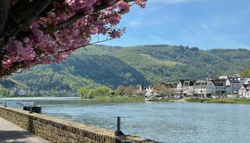 Winzerhaus am Marktplatz - Foto 3