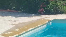 Un petit coin de Paradis - Foto 2
