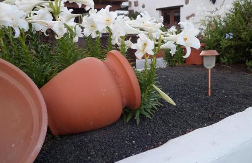 Finca de los Abuelos - Foto 22