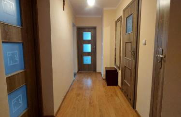 Noclegi- Bałuc Małgorzata - Photo 13