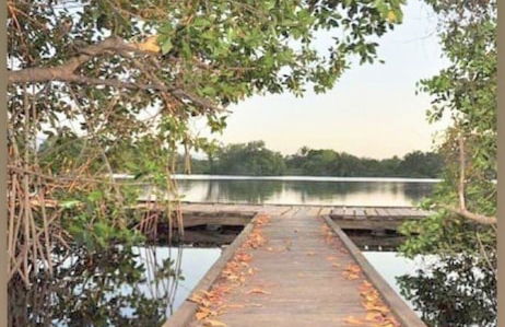 Shores Plantation - Foto 38