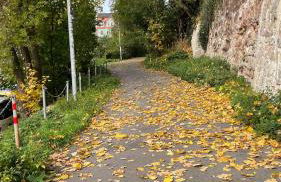 NEU! OASIS - FeWo am Harz, hochwertig Kernsaniert, 83 qm, EG - Foto 36