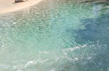 Benaco See - Foto 66