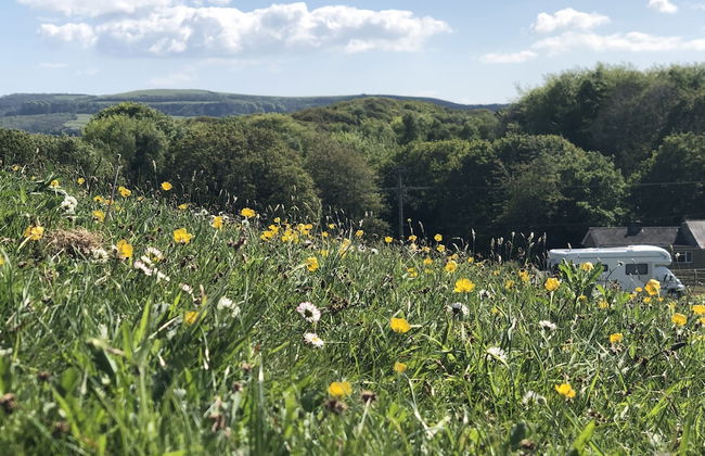 Queen Bower Farm Lodge - Foto 40