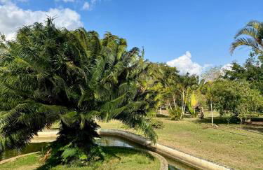 Casa Verde Jade - Foto 40