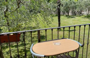 Casa Teodoro - Gelsomino, Ulivi & Orchidea - Foto 3