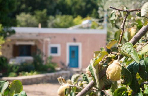 Chaihoutes stone House and Villa into Olive farm in Zia - Photo 67