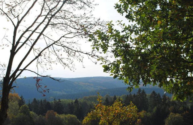 Wohnung in Brilon mit Kleinem Garten - Foto 19