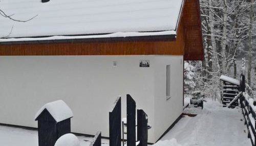 Borówkowa Dolina - Foto 4