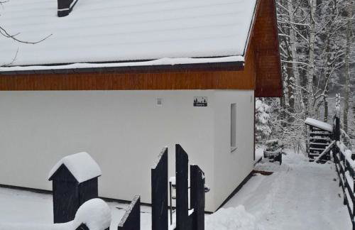 Borówkowa Dolina - Foto 4