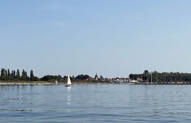 Ostseestern - Foto 23