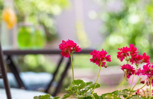 Malinsummer Apartments - Foto 17