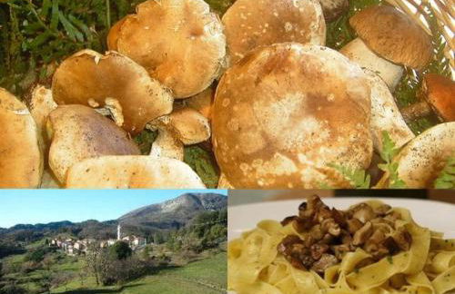 House x visit 5TerreTigulliobay - Foto 61