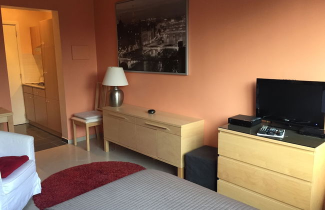 Residence la Fraisiere - Foto 65