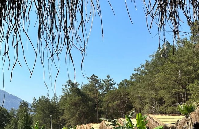 Pine Village Bungalows Ölüdeniz - Foto 53