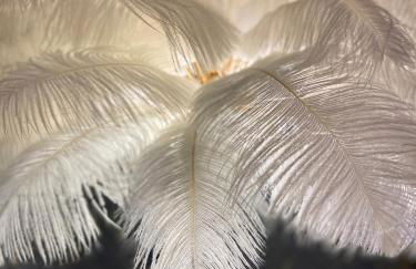 Love room Casa Amore - Foto 49