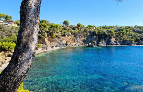 MISTRAL Appartement T3 pour 4 personnes proche plage de la Capte - Foto 12