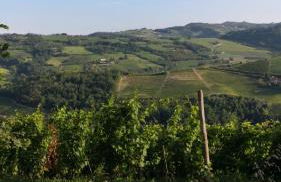 Beautiful private house among the Moscato vineyards - Foto 7