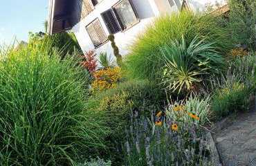 Small Hill Heaven - Foto 3