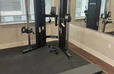 Downtown View Near Lake Michigan Plaza Black - Foto 11