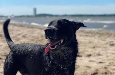 Appartement fliegender Hirsch - Foto 20