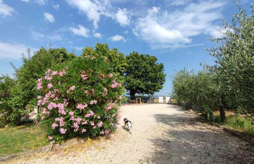 Casa Vacanze "Dimora Quercia" - Villino "Quercia" - Foto 36