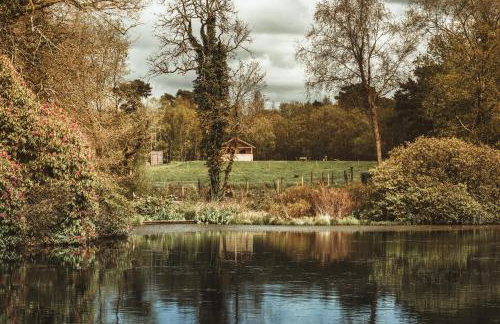 Tempo Manor Cabins - Foto 8