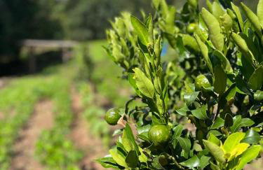 Casa do Aconchego - Photo 63