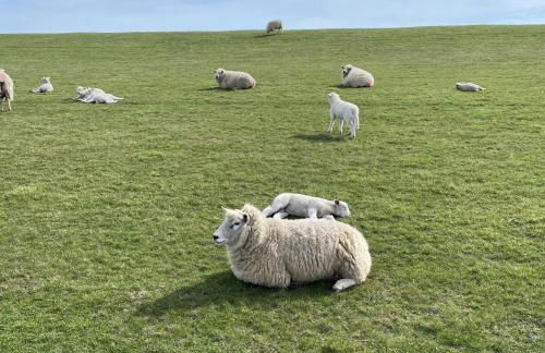 NEU! FeWo Flussland nähe SPO - Foto 8