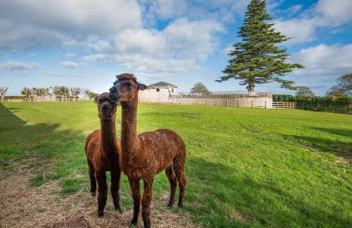 The Treehouse - Foto 27