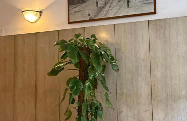 Casa Mia nel cuore di Napoli - Foto 57