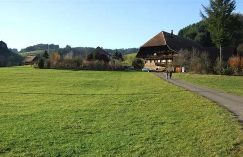 Sonniges-naturnahes-Schwarzwald-Ferienhaeuschen - Foto 16