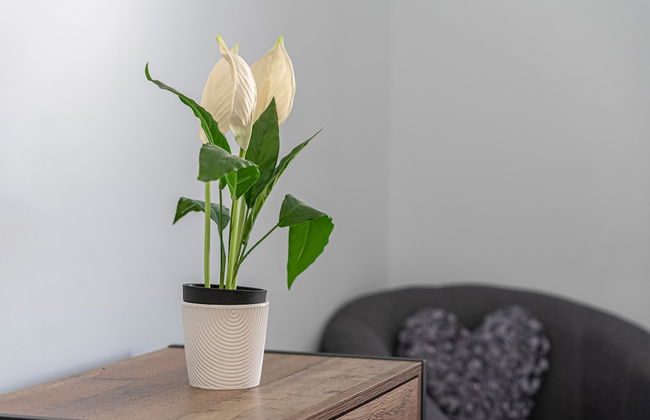 JOIVY Charming 4-Bed House Near The Hoe Park - Foto 11